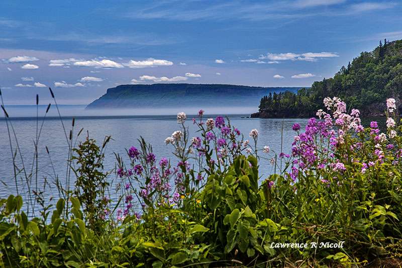 View of Partridge Island across the water from Ottawa House Museum